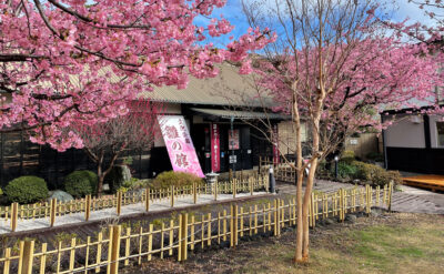 稲取文化公園　雛の館