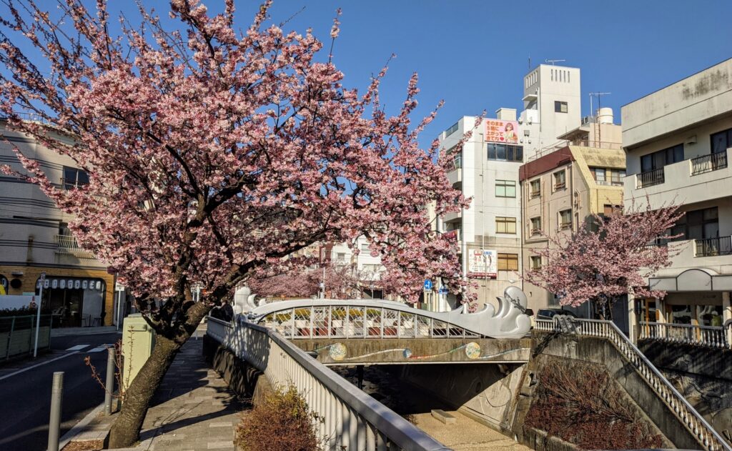 紅葉・梅・桜・花火で彩る熱海の四季